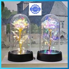 Rose Eternelle en Verre Dôme