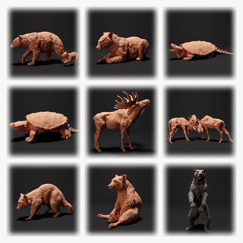 Animaux amérique nord - animaux, du