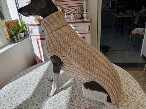 Pull chien whippet neuf - chien,