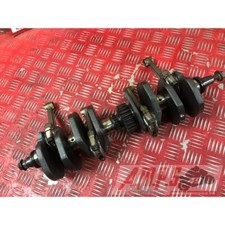 Vilebrequin avec bielles