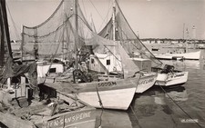 17 ROYAN FISHING BOAT