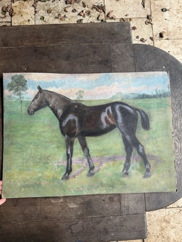 étude cheval peinture - Étude,