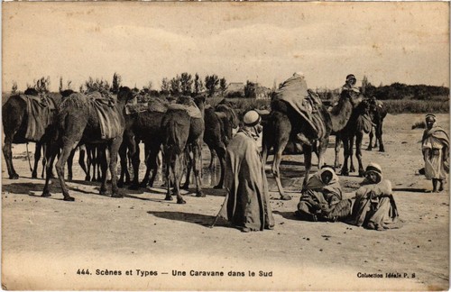 Cpa algeria scenes - cpa,