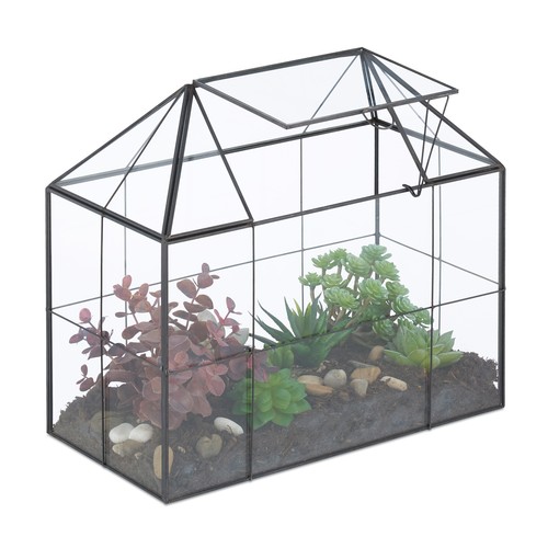 Terrarium ecosysteme - terrarium,