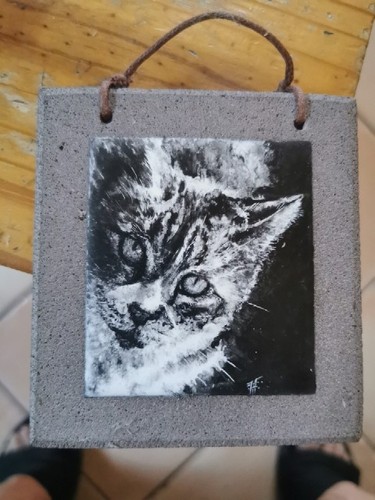 Chat émaux longwy - chat, de
