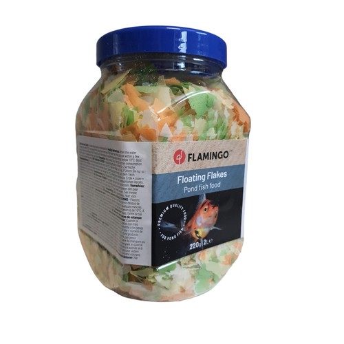 Nourriture poisson étang en - poisson,