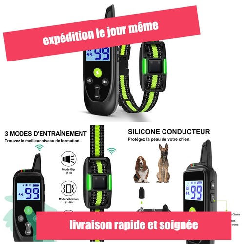 Collier dressage chien