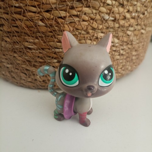 Petshop chat europeen 4012 - europeen, #4012
