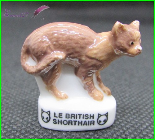 Feve les races chat cat - races,