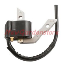 Bobine Pour Moteur EX27 Robin - Subaru 279-79430-01 310156