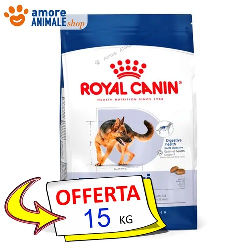 Royal canin chien adulte maxi - chien,