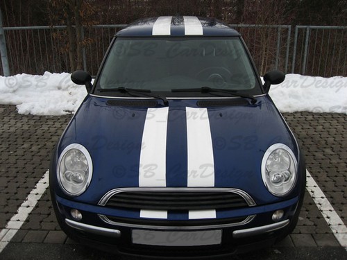 Autocollant viper stripes - stripes, pour
