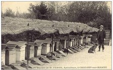 Rucher de M. Faron apiculteur