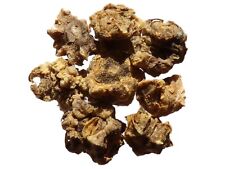 Betterave Fourragère Géante