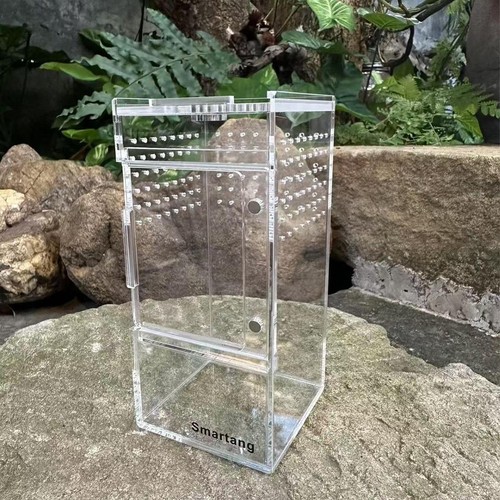 Terrarium acrylique - terrarium, en