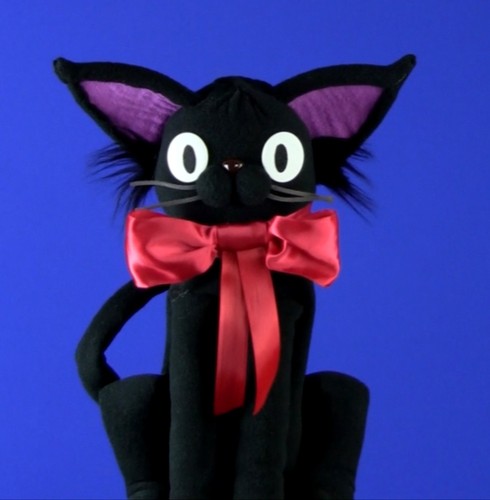 Professional quirky cat - professional, "quirky