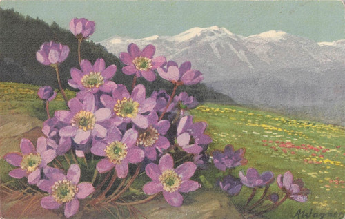 Illustree signee montagnes - illustree,