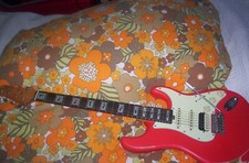 Guitare électrique EKO Customisée + Etui Rigide