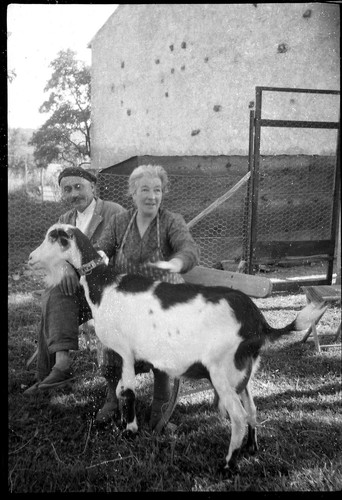 Couple avec biquette chèvre - ,