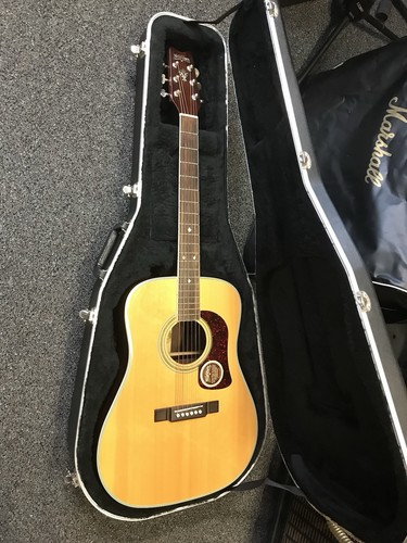 Washburn d21s dreadnought - washburn,
