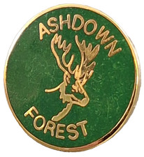 Insigne petite épingle