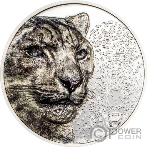 Snow leopard wild mongolia - leopard,