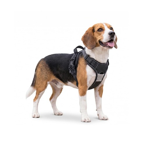 Harnais réglable pour chien - pour,