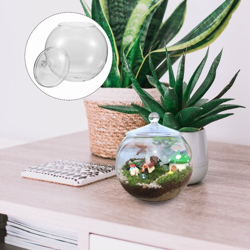Terrarium faire soi même - À,