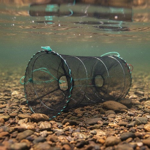 Piège poissons pliable - piège, à
