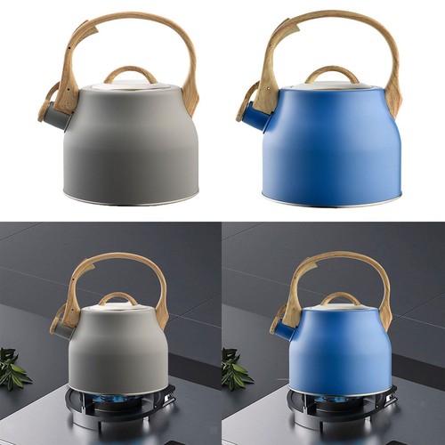 Bouilloire stovetop inox - inox, thé