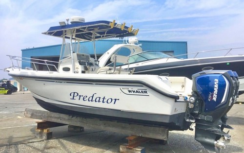 Boston whaler outrage - 23,