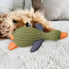 Jouet à mâcher pour chien