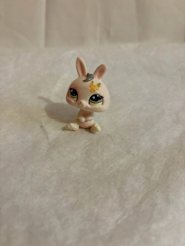 Petshop lapin nain