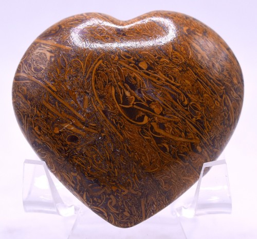 Mariam fossile jasper - 2,4",