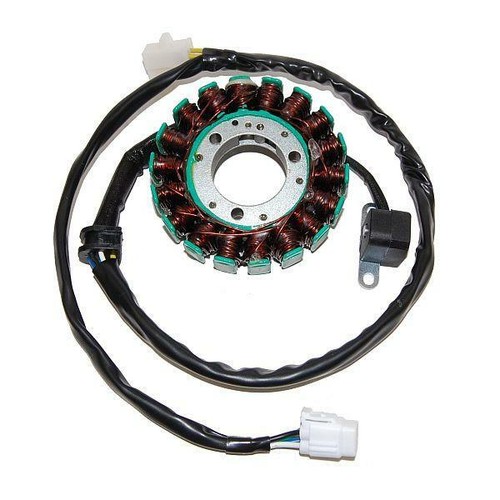 Electrosport stator magnet - electrosport,