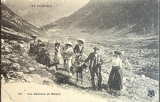 🦬 Carte postale - Postcard