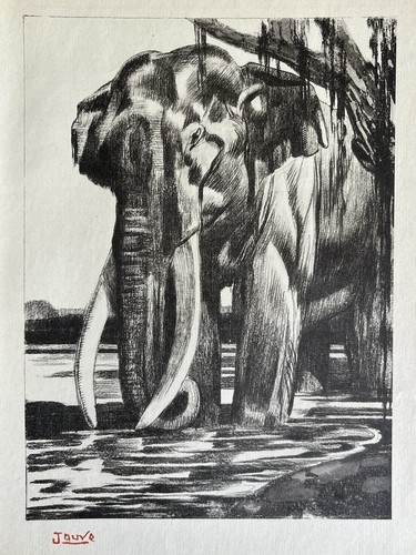 Paul jouve gravure - paul,