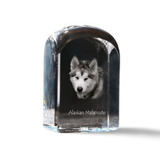 Malamute D'alaska - Cube En