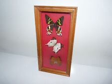 ancien cadre 3 papillon