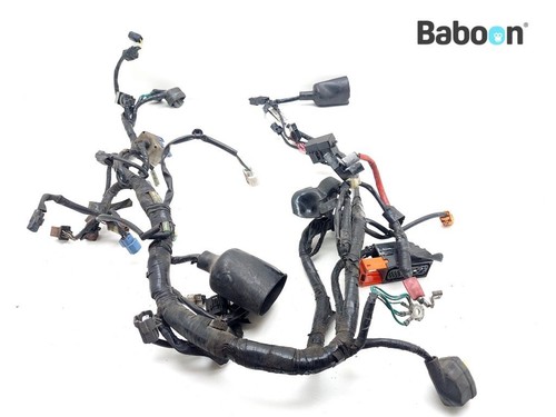 Faisceau câblage honda - honda, cbr