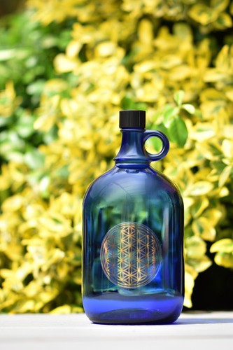 Bouteille verre litre - bouteille,