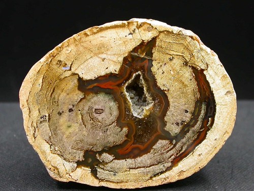 Lithophyse très belle - lithophyse,