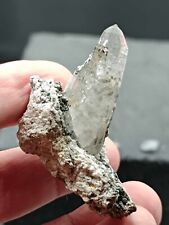 Pretty Lemur Quartz Tip!