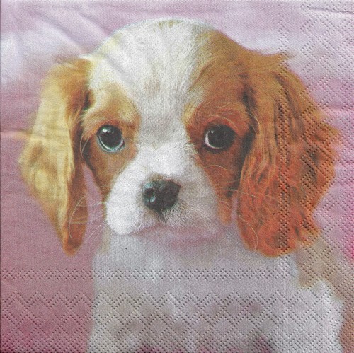 Lot serviettes en - de,