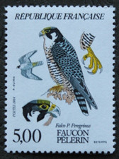 Timbre - FRANCE - Faucon