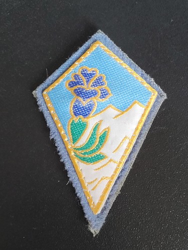 Ecusson bras brigade - ecusson, 27