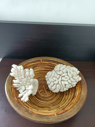 Lot coraux blanc et une - de, 2