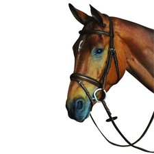 Collegiate - Bridon en cuir