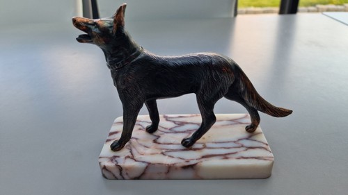 Berger allemand chien loup - berger,