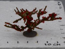 Green and red shrub 4 cm